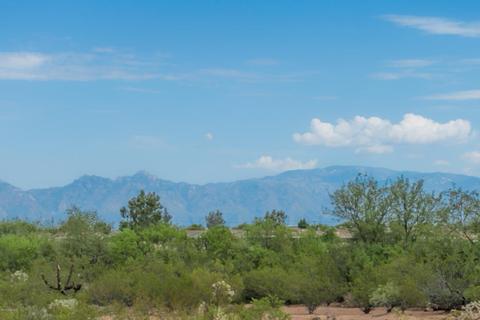 7687 E Fair Meadows Loop, Tucson, AZ 85756 photo 29
