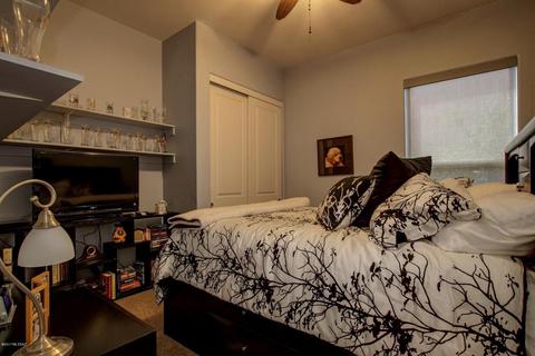 2587 E Cold Snap Pl, Vail, AZ 85641 photo 22
