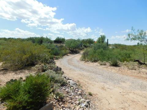 13750 E Fire Dancer Rd, Vail, AZ 85641 photo 6