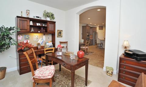 13993 E Barouche Dr, Vail, AZ 85641 photo 8