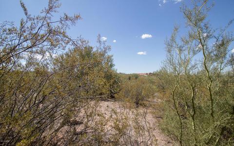 5492 S Thunder Sky Way, Tucson, AZ 85747 photo 31