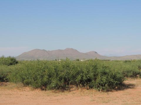 3357 Red Stag Rd, Pearce, AZ 85625 photo 47