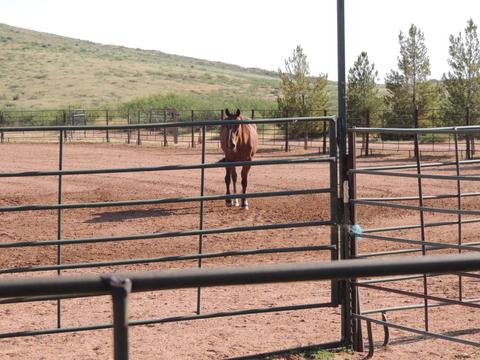 3357 Red Stag Rd, Pearce, AZ 85625 photo 8