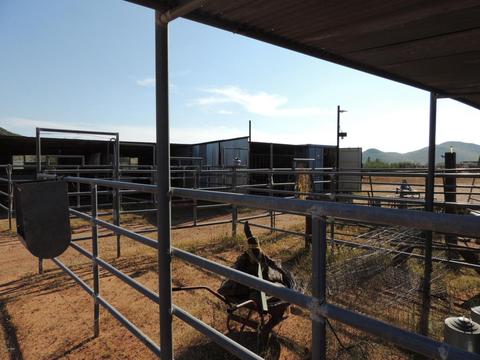 3357 Red Stag Rd, Pearce, AZ 85625 photo 40