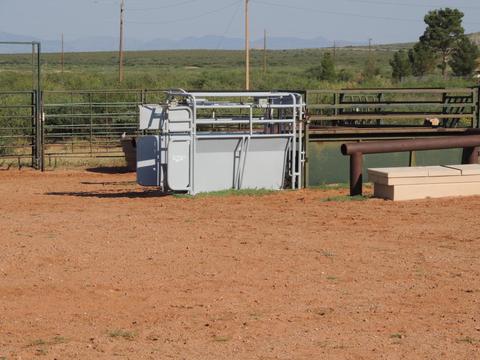 3357 Red Stag Rd, Pearce, AZ 85625 photo 6