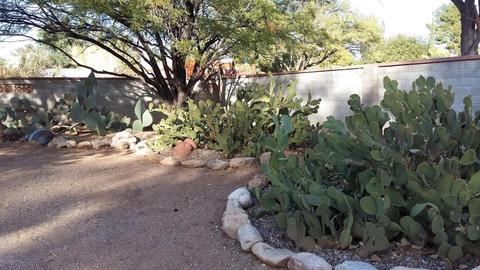 3320 Elida St, Tucson, AZ 85716 photo 44