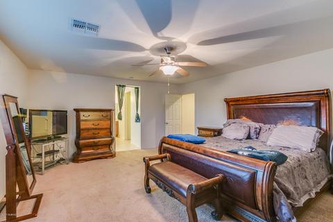 132 E Adytum Pl, Vail, AZ 85641 photo 17