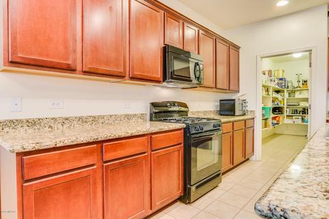 132 E Adytum Pl, Vail, AZ 85641 photo 11
