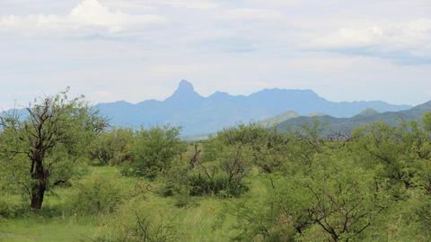 38725 S Ruby Rd, Arivaca, AZ 85601 photo 31