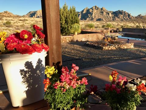 8018 E Diamondback Rd, Saint David, AZ 85630 photo 9