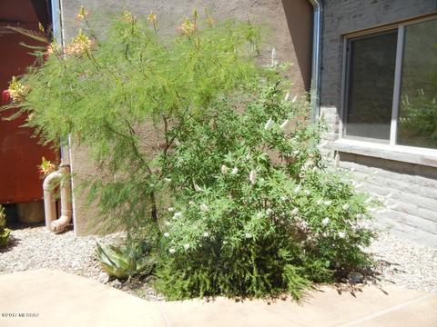 15380 E Colossal Cave Rd, Vail, AZ 85641 photo 23