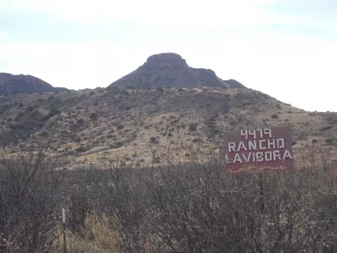 4479 E Highway 80, Douglas, AZ 85607 photo 4