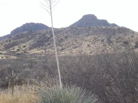 4479 E Highway 80, Douglas, AZ 85607 photo 11