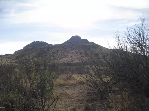 4479 E Highway 80, Douglas, AZ 85607 photo 1