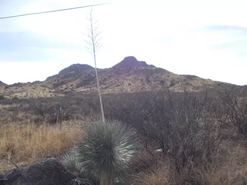4479 E Highway 80, Douglas, AZ 85607 photo 10