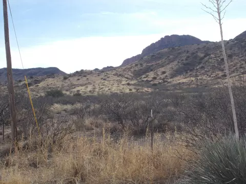 4479 E Highway 80, Douglas, AZ 85607 photo 9