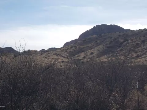 4479 E Highway 80, Douglas, AZ 85607 photo 5