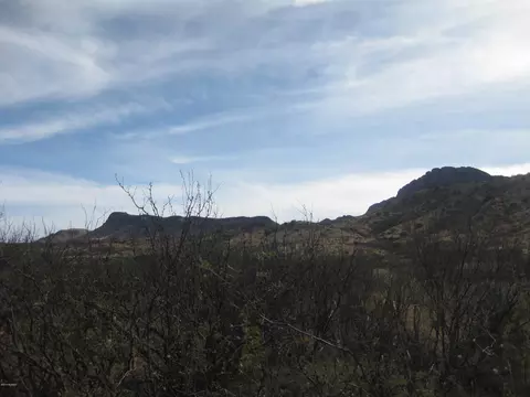 4479 E Highway 80, Douglas, AZ 85607 photo 2