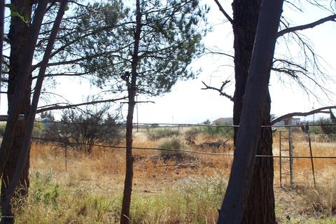 2908 W Sacaton Dr, Willcox, AZ 85643 photo 25