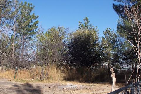 2908 W Sacaton Dr, Willcox, AZ 85643 photo 24