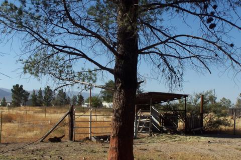 2908 W Sacaton Dr, Willcox, AZ 85643 photo 23