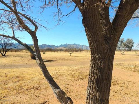 251 E Belmar St, Pearce, AZ 85625 photo 44