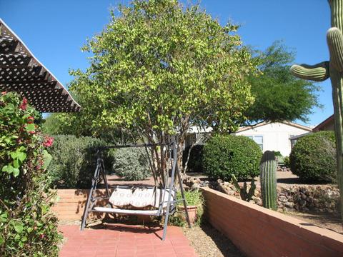 3401 S Dynamite Ave, Tucson, AZ 85735 photo 17