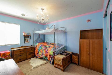 10880 S Arrowhead Spring Dr, Vail, AZ 85641 photo 19