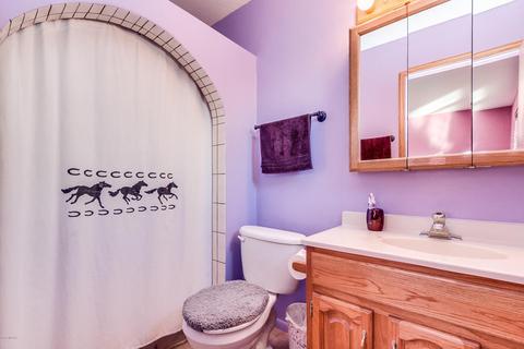 10530 E Snyder Rd, Tucson, AZ 85749 photo 33
