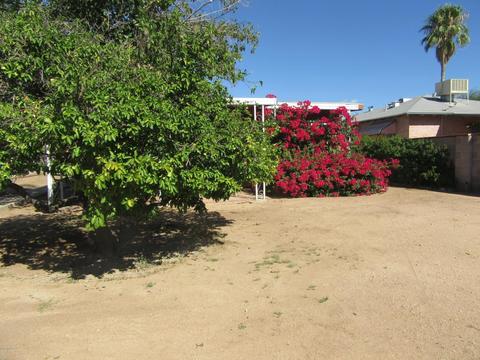 1516 E Spring St, Tucson, AZ 85719 photo 17
