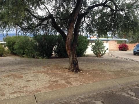 7021 E 3rd St, Tucson, AZ 85710 photo 17