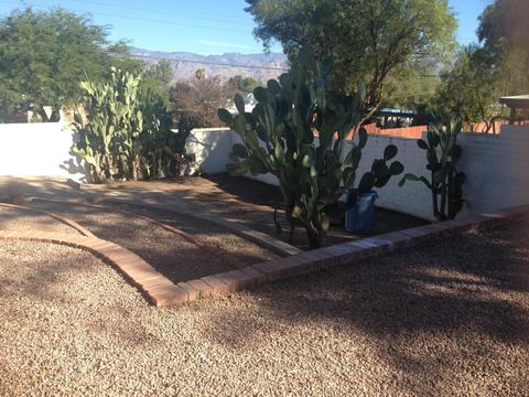 7021 E 3rd St, Tucson, AZ 85710 photo 15
