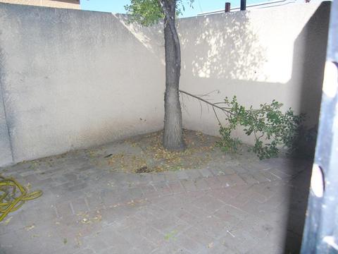 3762 E 3rd St, Tucson, AZ 85716 photo 14