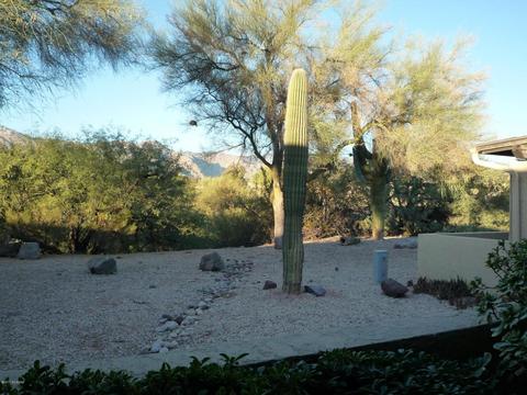 7029 E Rivercrest Rd, Tucson, AZ 85750 photo 21