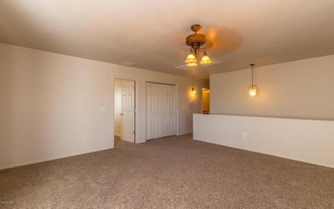 13202 E Mineta Rdg, Vail, AZ 85641 photo 13