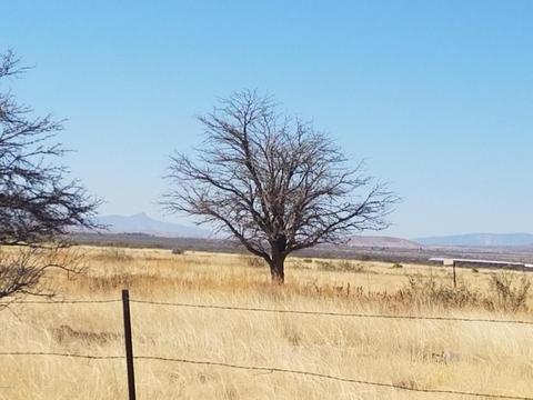 467 Taylor Rd, Willcox, AZ 85643 photo 3