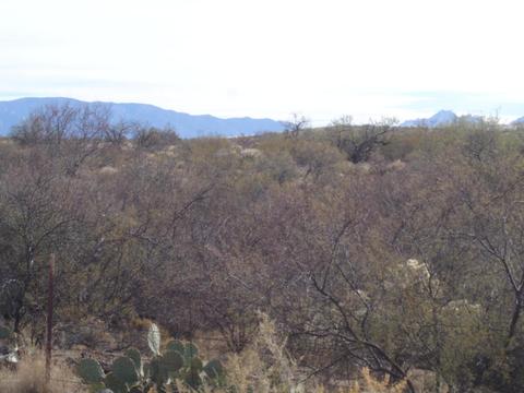 49819 Eagle Nest Trl S, Saddlebrooke, AZ 85739 photo 33