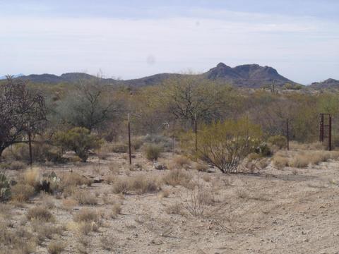 49819 Eagle Nest Trl S, Saddlebrooke, AZ 85739 photo 31
