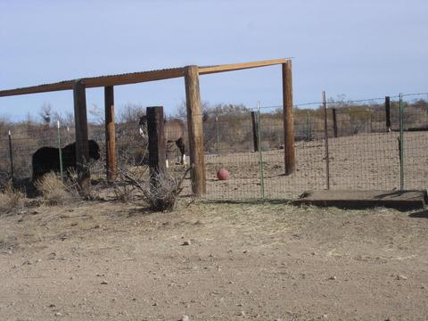 49819 Eagle Nest Trl S, Saddlebrooke, AZ 85739 photo 20