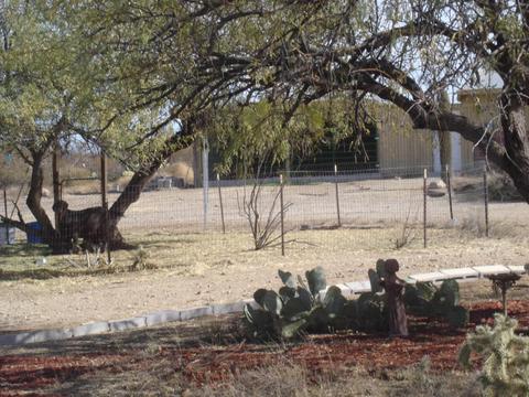49819 Eagle Nest Trl S, Saddlebrooke, AZ 85739 photo 25