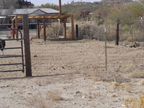 49819 Eagle Nest Trl S, Saddlebrooke, AZ 85739 photo 22