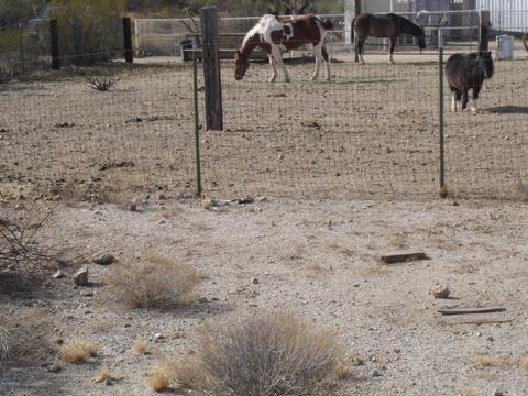 49819 Eagle Nest Trl S, Saddlebrooke, AZ 85739 photo 21