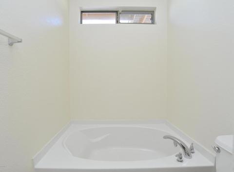 558 W Chatfield St, Vail, AZ 85641 photo 18