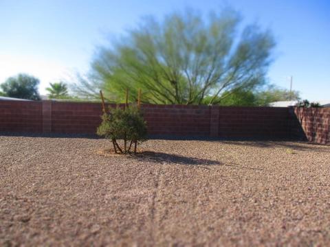 7264 S Second Mesa Dr, Tucson, AZ 85756 photo 18