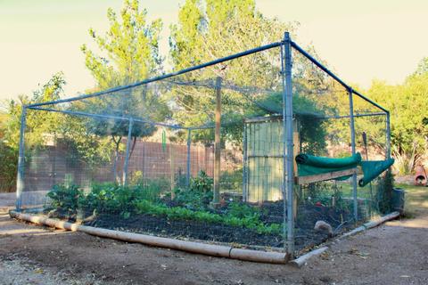 9077 N Eaglestone Loop, Tucson, AZ 85742 photo 31