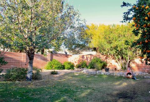9077 N Eaglestone Loop, Tucson, AZ 85742 photo 29