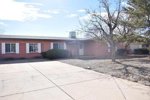 1008 E Mescal Dr, Pearce, AZ 85625 photo 3