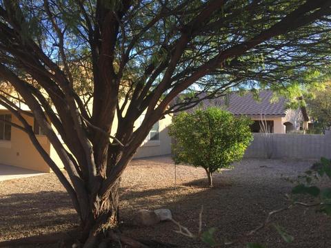 6590 E Cooperstown Dr, Tucson, AZ 85756 photo 5
