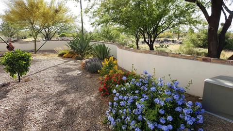 401 E Charleston Pl, Vail, AZ 85641 photo 18