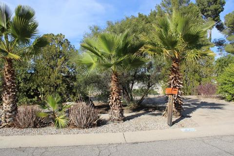 7301 E 34th St, Tucson, AZ 85710 photo 6